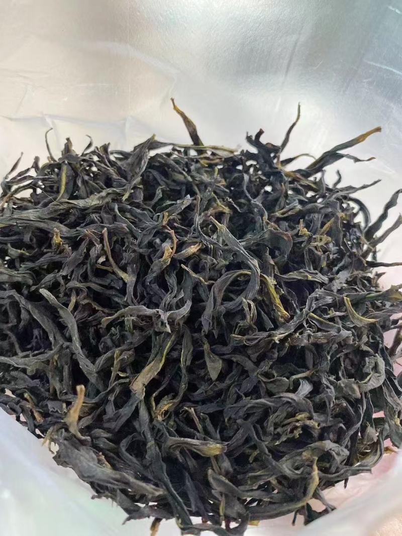 饶平单丛茶