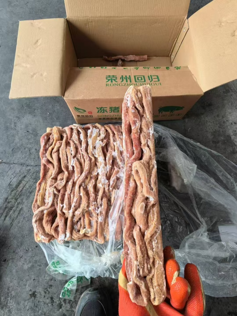 熟小肠