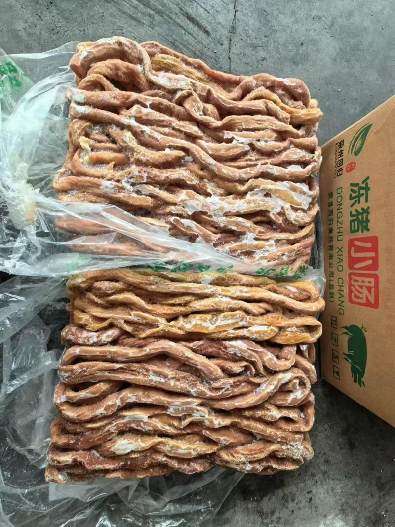 熟小肠