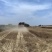 陕西冬小麦