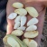 新疆新鲜青皮巴旦木