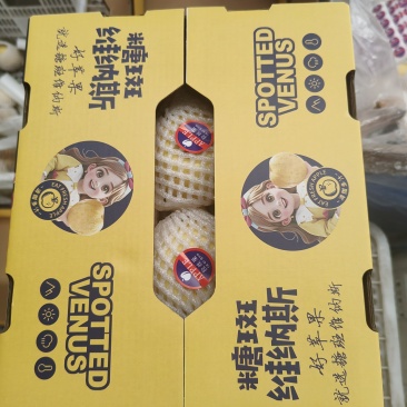 栖霞原产地苹果！