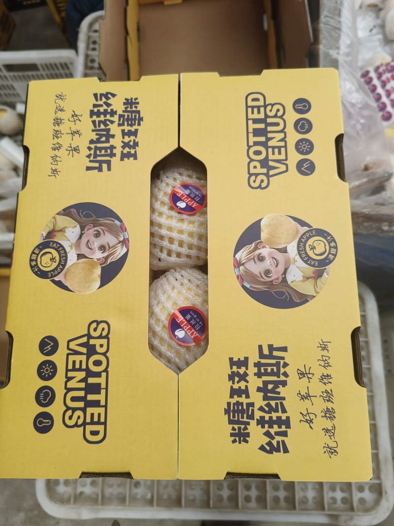 栖霞原产地苹果！