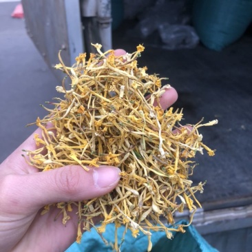 金银花云南金银花货好价优需要的老板联系