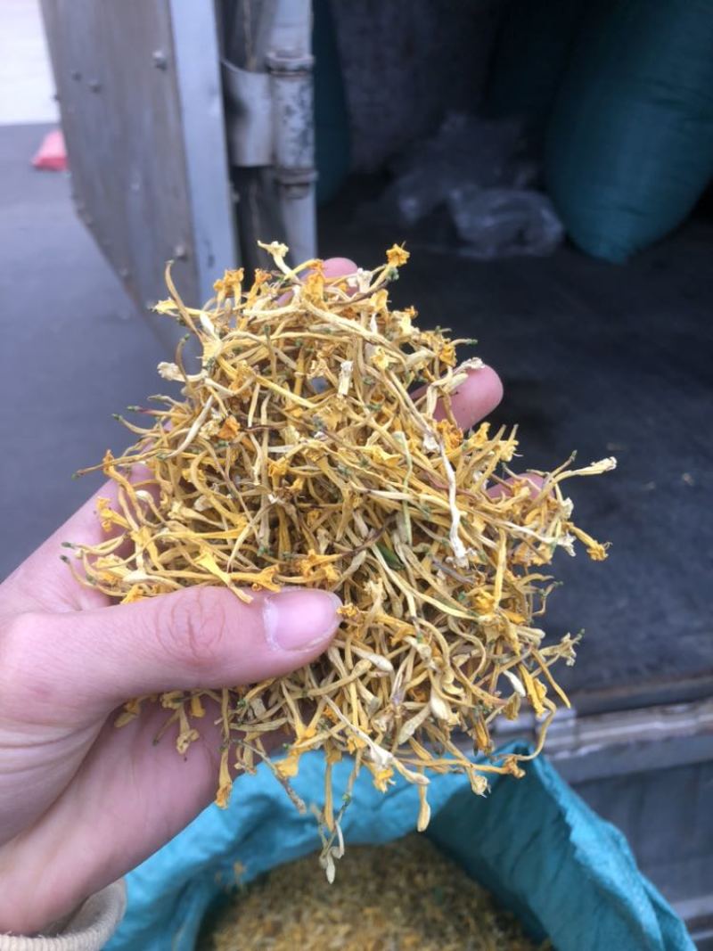 金银花云南金银花货好价优需要的老板联系
