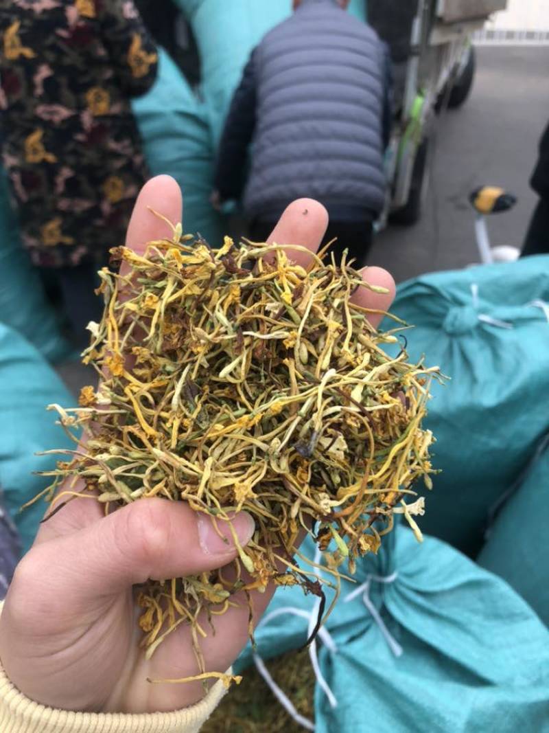 金银花云南金银花货好价优需要的老板联系