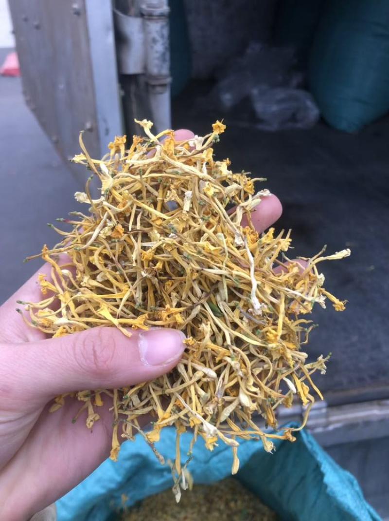 金银花云南金银花货好价优需要的老板联系