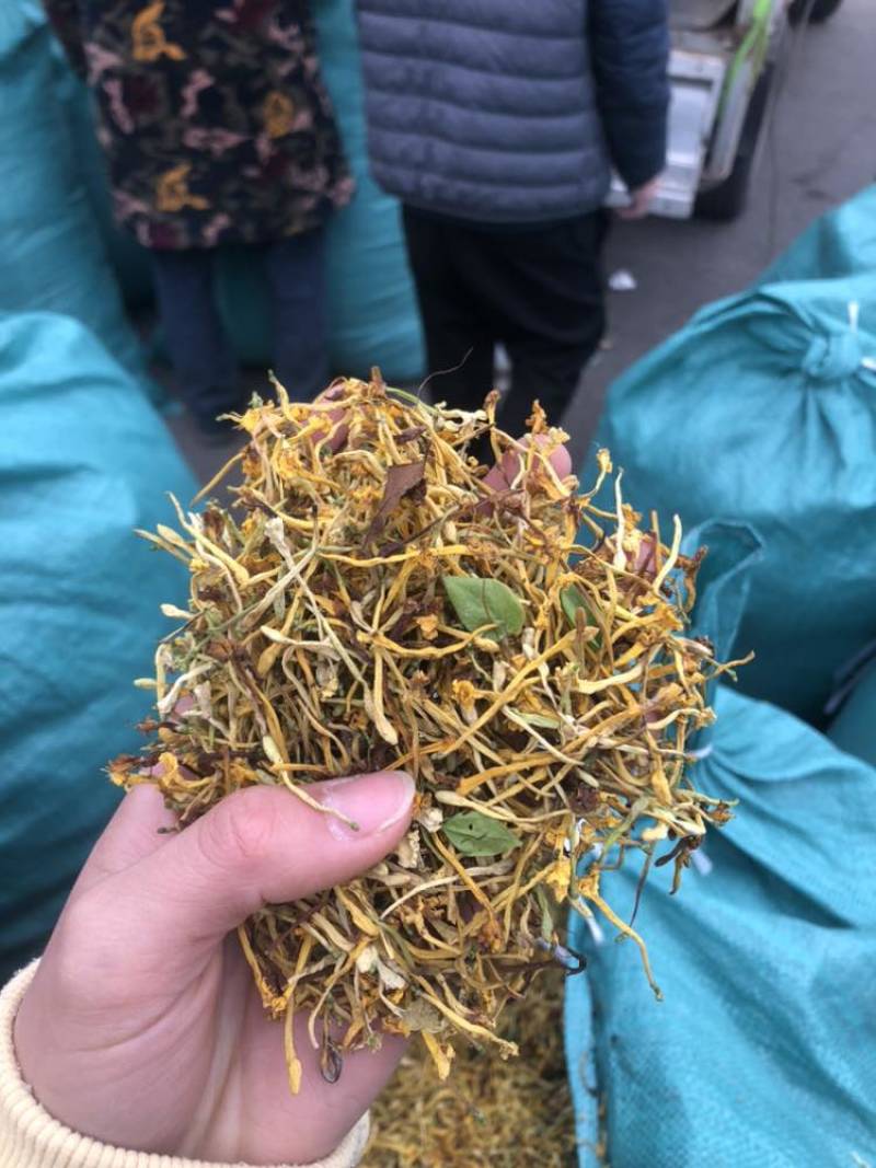 金银花云南金银花货好价优需要的老板联系