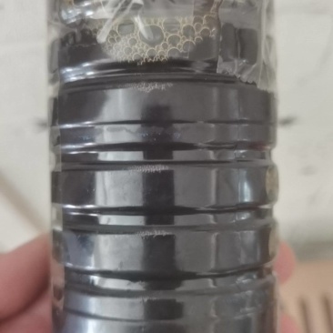 纯葡萄汁（不含酒精）