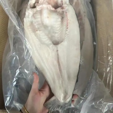巴沙鱼
