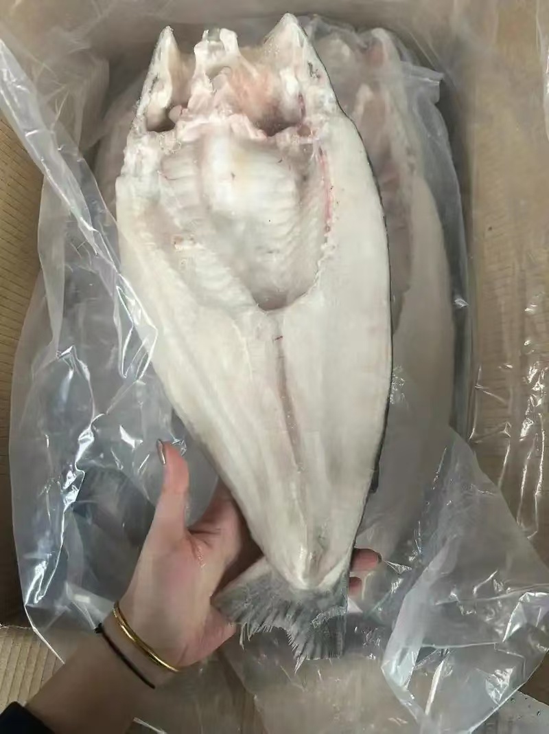巴沙鱼