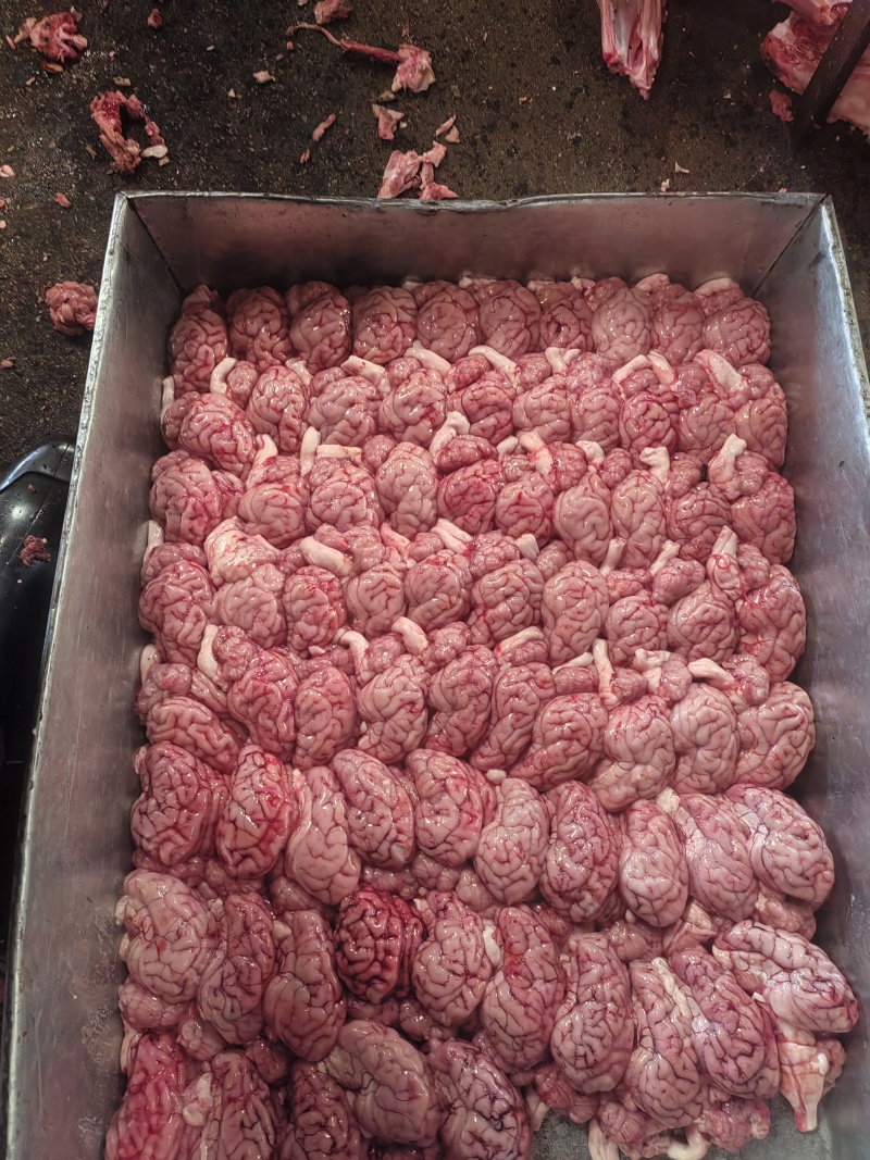 猪头（耳.嘴.圈肉）鸿运当头，订制做猪头，满足你需的款式