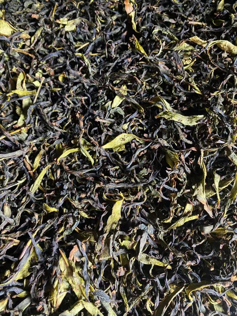 新春茶饶平赤叶单从茶，毛茶，高质量