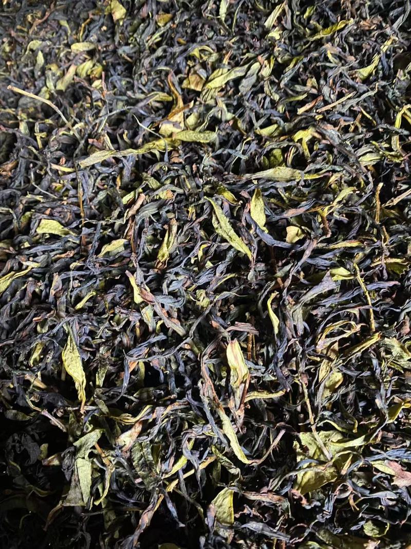 新春茶饶平赤叶单从茶，毛茶，高质量