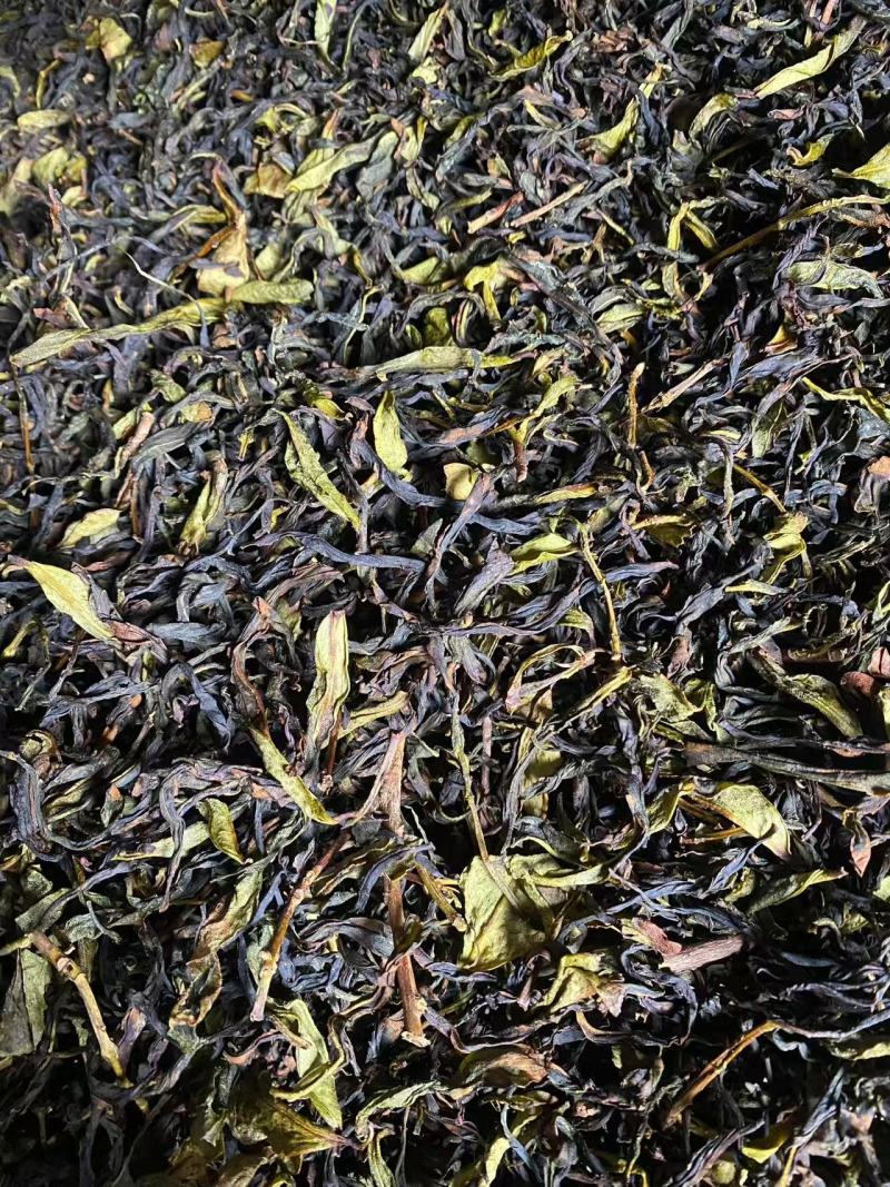 新春茶饶平赤叶单从茶，毛茶，高质量