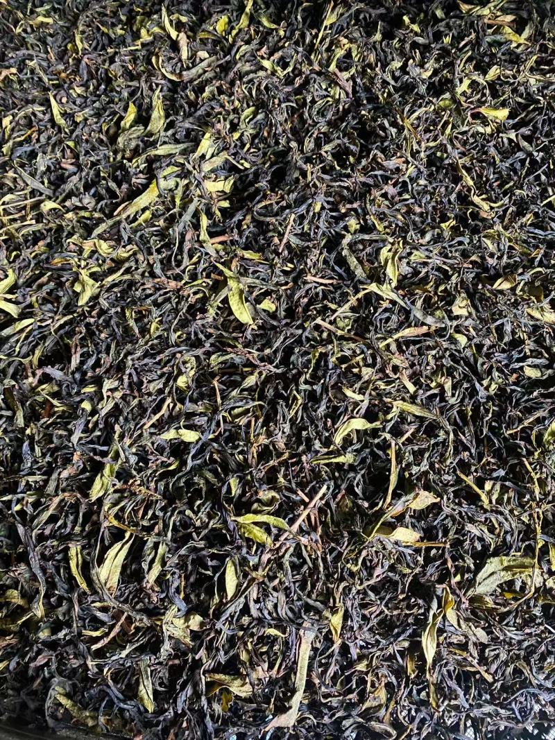 新春茶饶平赤叶单从茶，毛茶，高质量