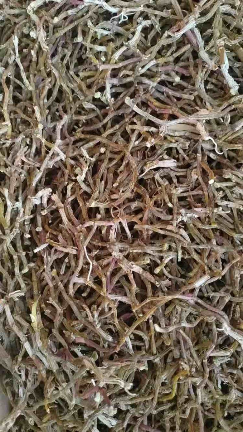 云南铁皮石斛打粉料
