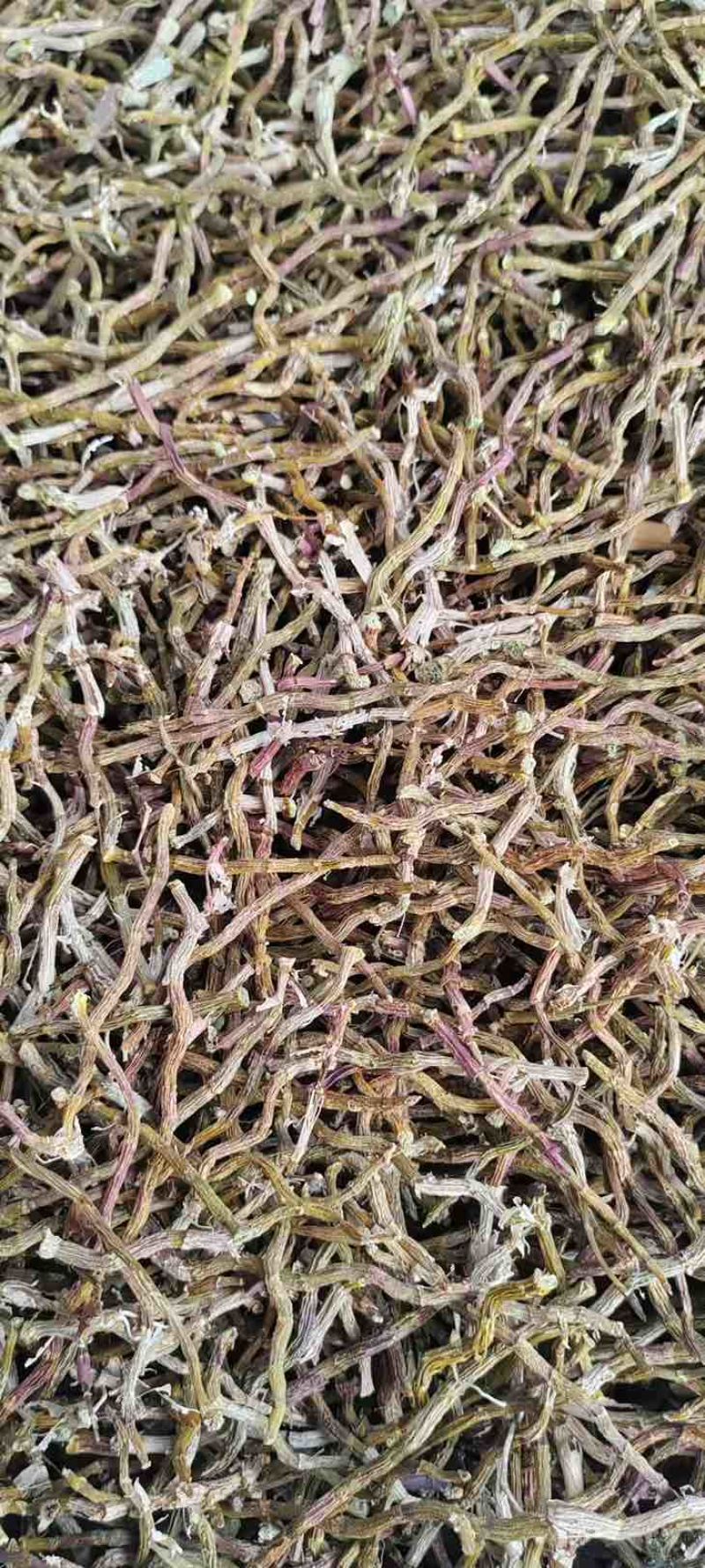 云南铁皮石斛打粉料