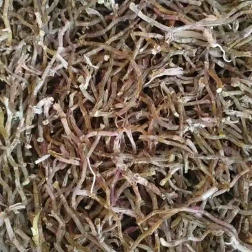 云南铁皮石斛打粉料