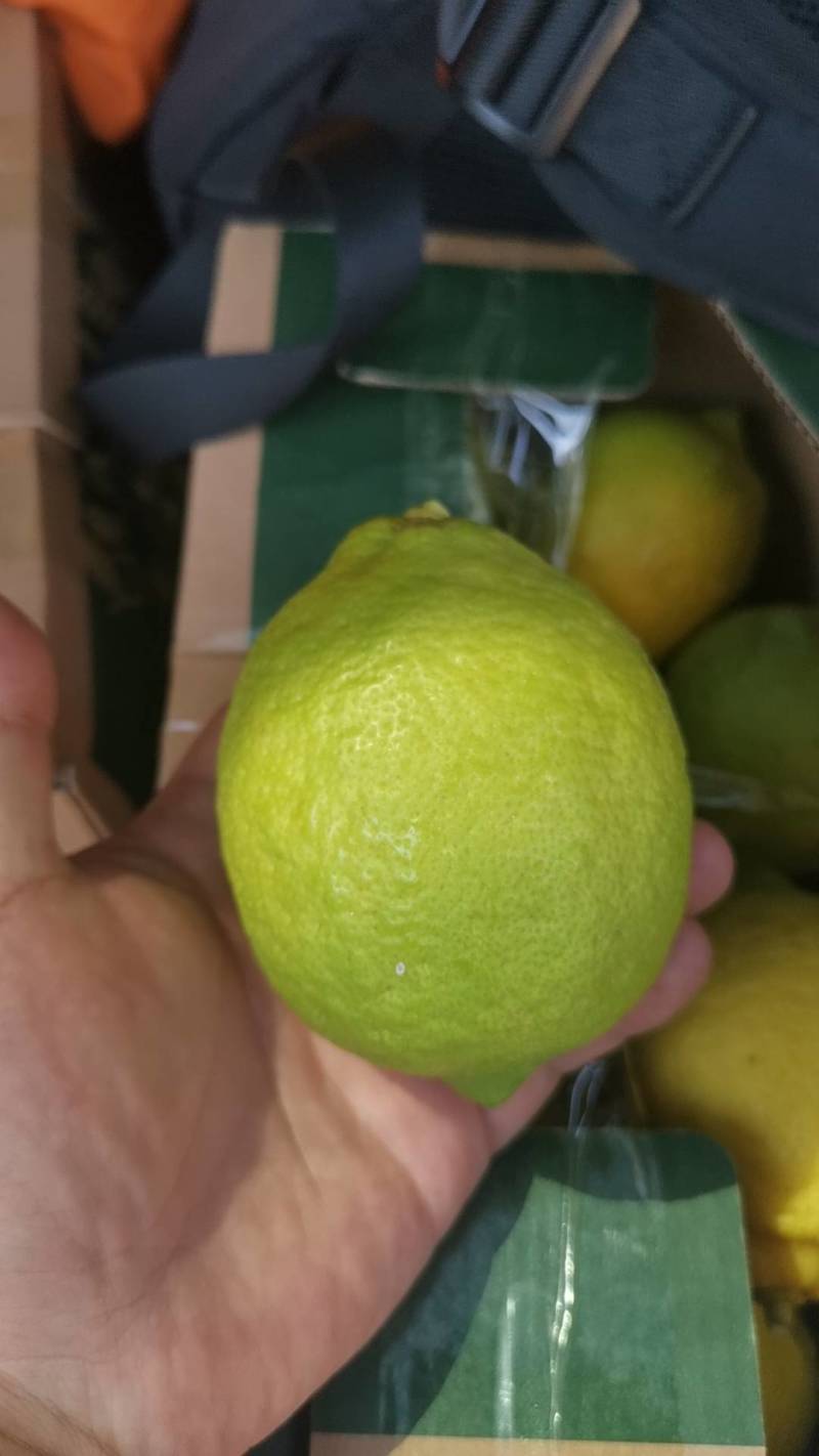 柠檬