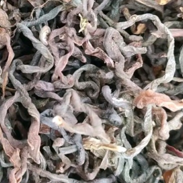 微菜干货