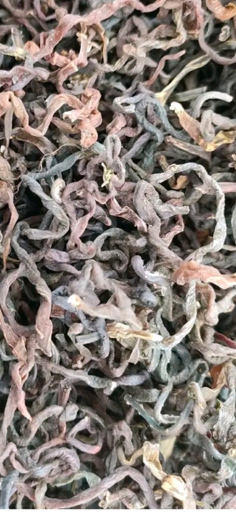 微菜干货