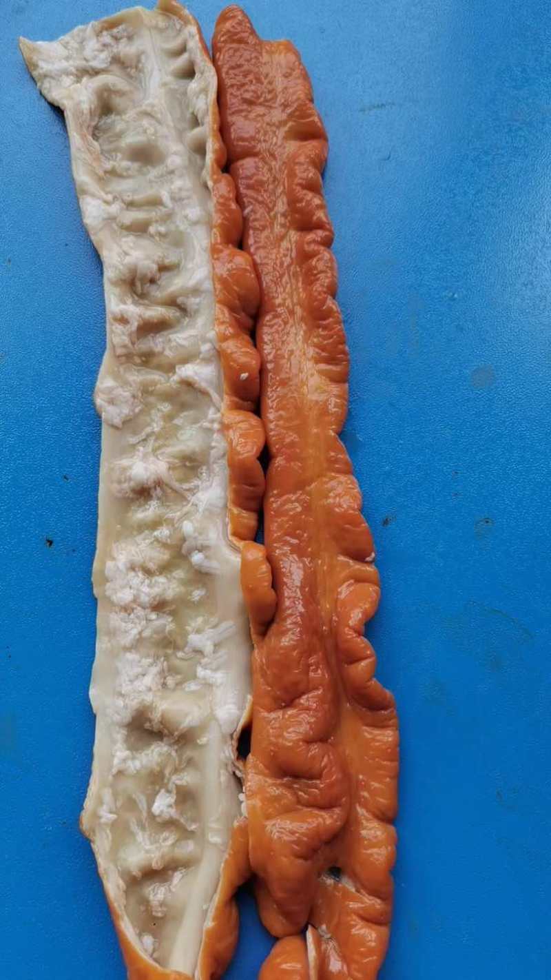 五香卤肥肠，全熟，高品质，低价位，加热可出餐