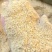 玉米次粉饲料厂大量替代玉米，降低饲料成本，催肥长得快