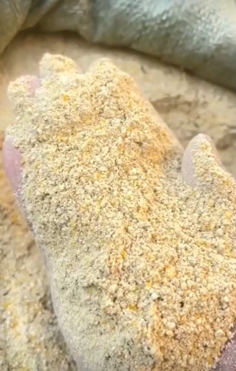 玉米次粉饲料厂大量替代玉米，降低饲料成本，催肥长得快