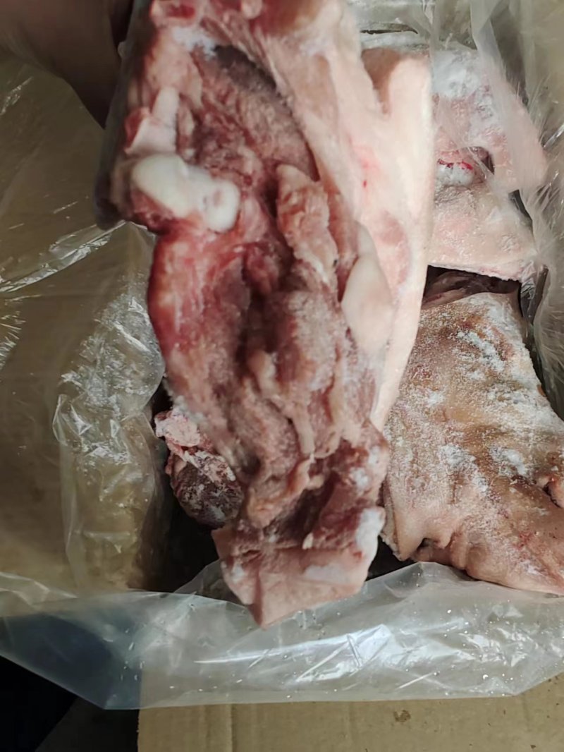 猪头精修去淋巴厂家直销量大从优