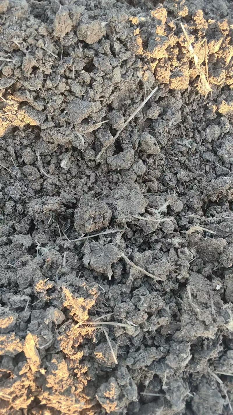 人工翻晒干鸡粪块蔬菜种植专用河北厂家直销