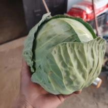 量大价格可谈