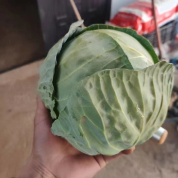 量大价格可谈