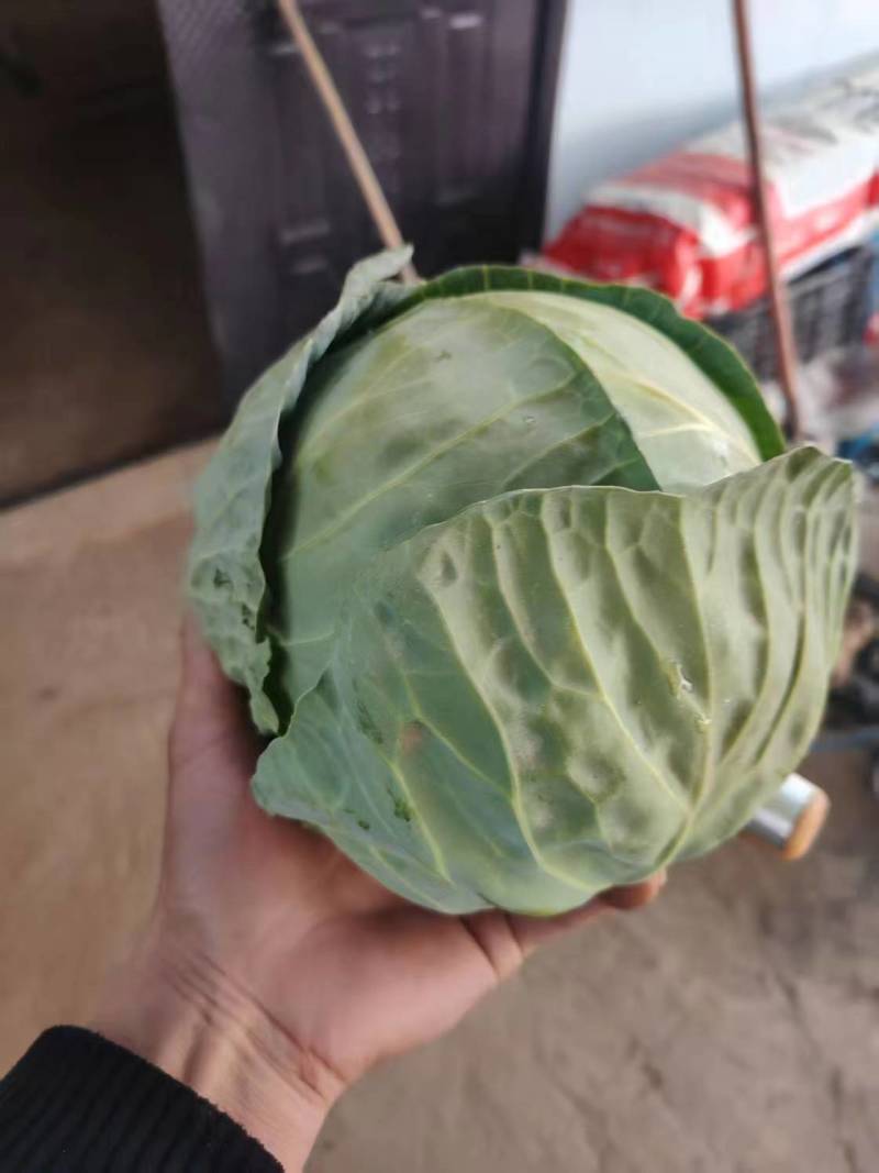 量大价格可谈