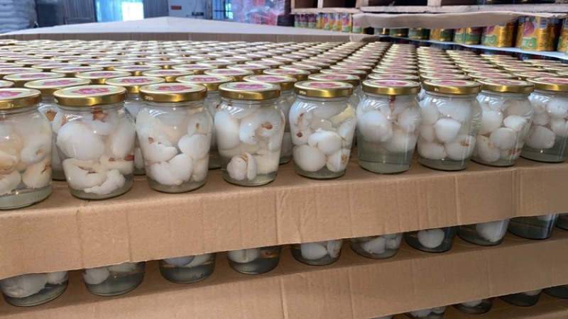 水果罐头枇杷罐头杨梅罐头荔枝罐头龙眼罐头菠萝罐头