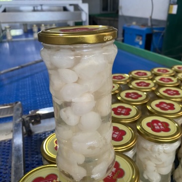 水果罐头枇杷罐头杨梅罐头荔枝罐头龙眼罐头菠萝罐头
