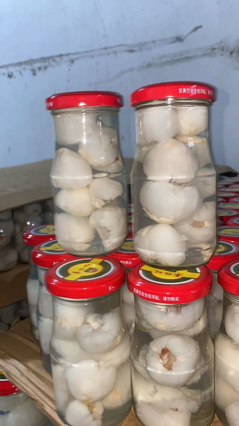 水果罐头枇杷罐头杨梅罐头荔枝罐头龙眼罐头菠萝罐头