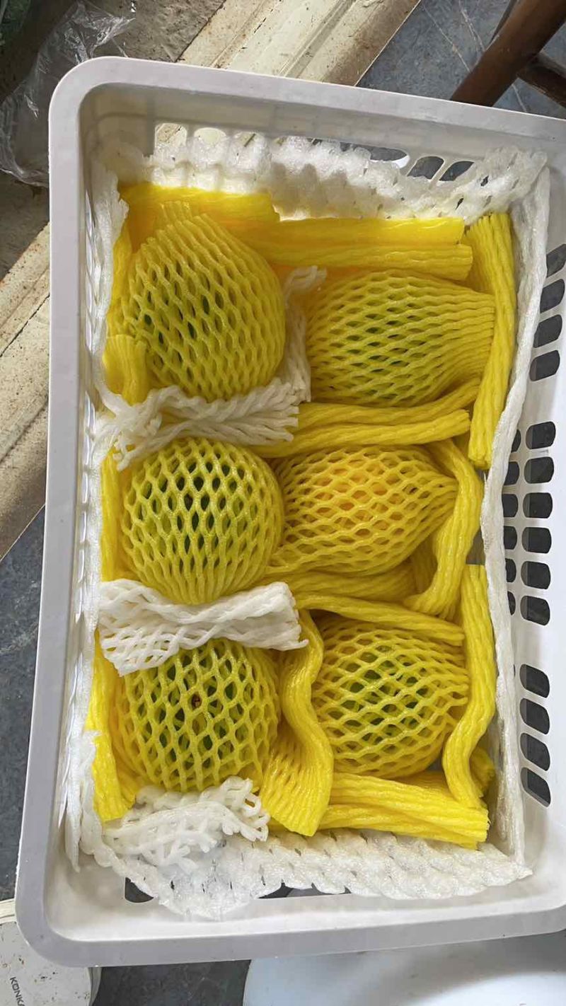 黄晶果