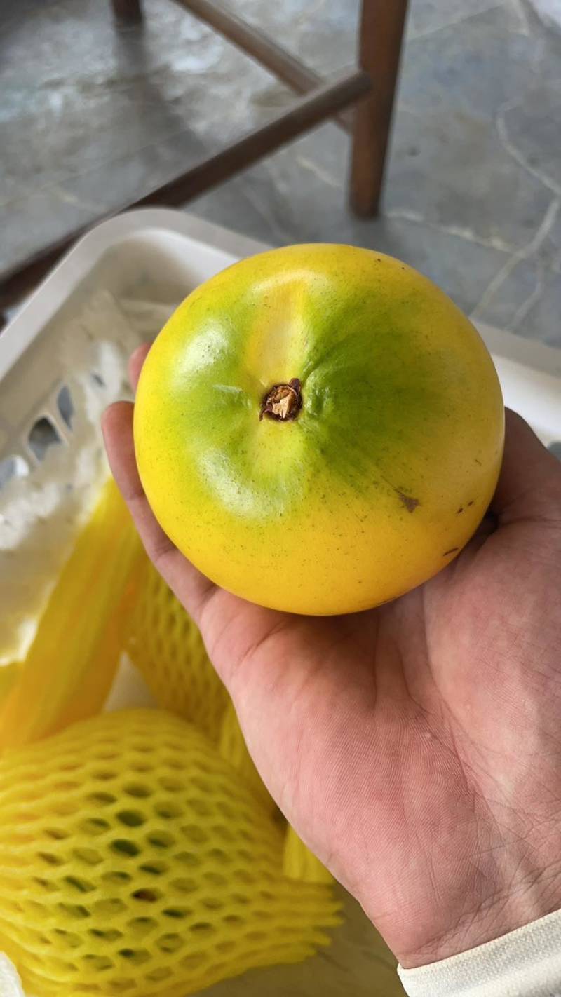 黄晶果