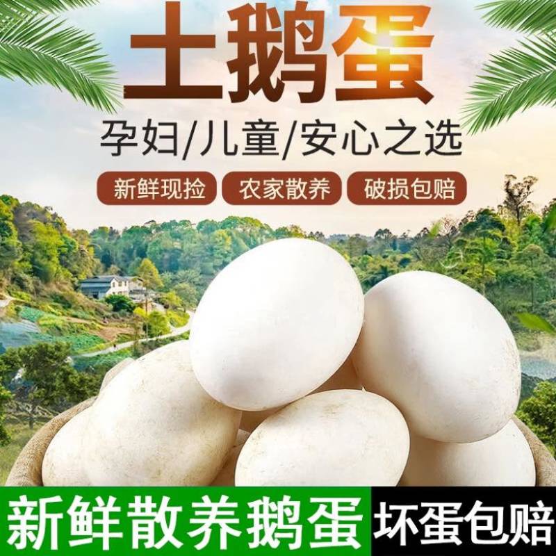 土鹅蛋雁鹅蛋专业做一件代发，80-100克60-80