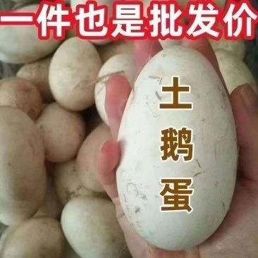 土鹅蛋雁鹅蛋专业做一件代发，80-100克60-80