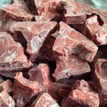 多肉龙骨块