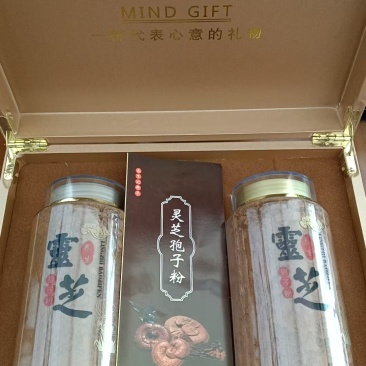 室内种植的带粉赤灵芝，赤灵芝破壁孢子粉