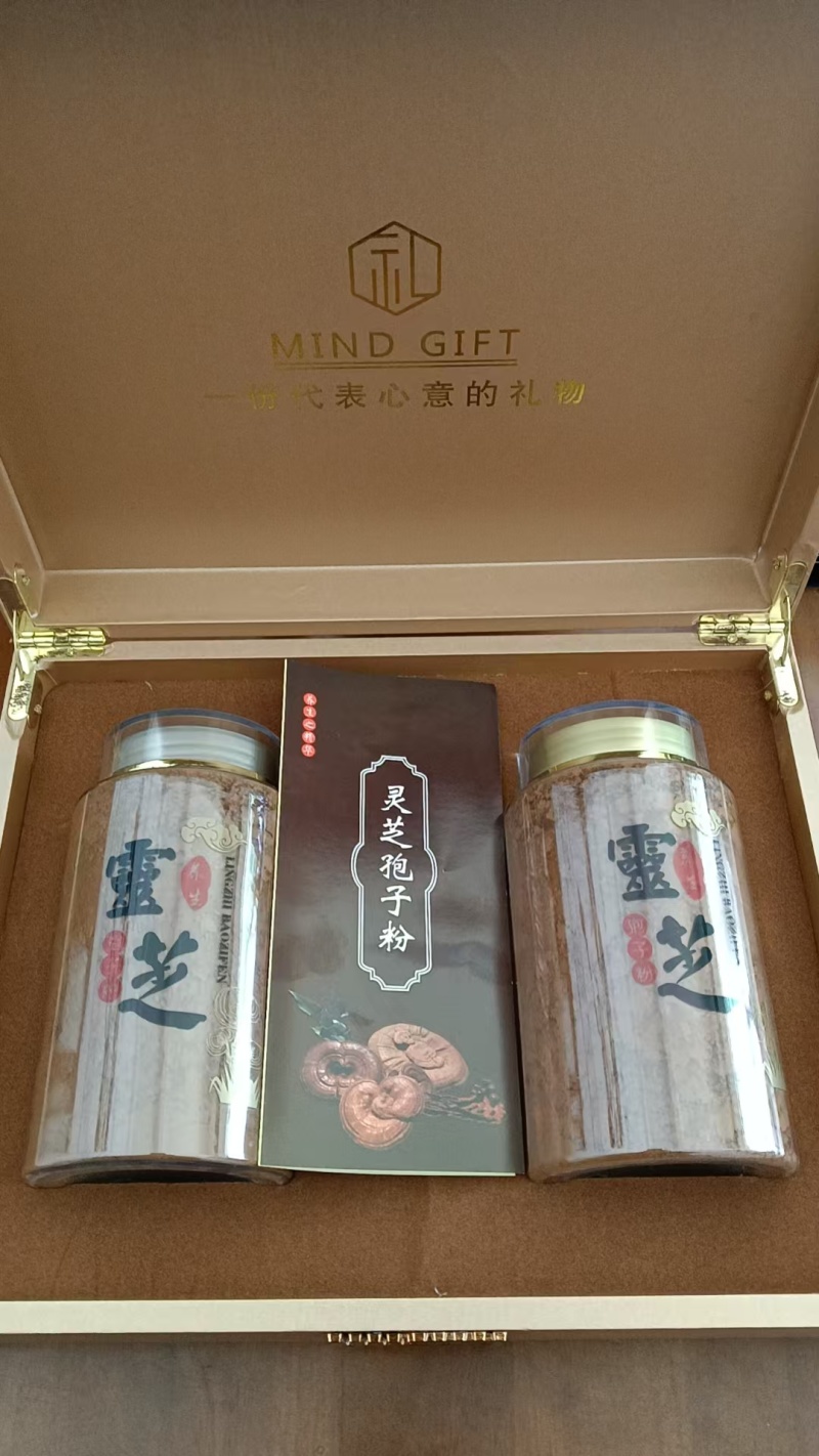 室内种植的带粉赤灵芝，赤灵芝破壁孢子粉