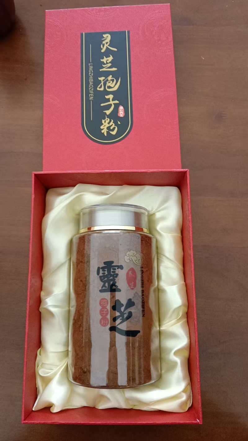 室内种植的带粉赤灵芝，赤灵芝破壁孢子粉