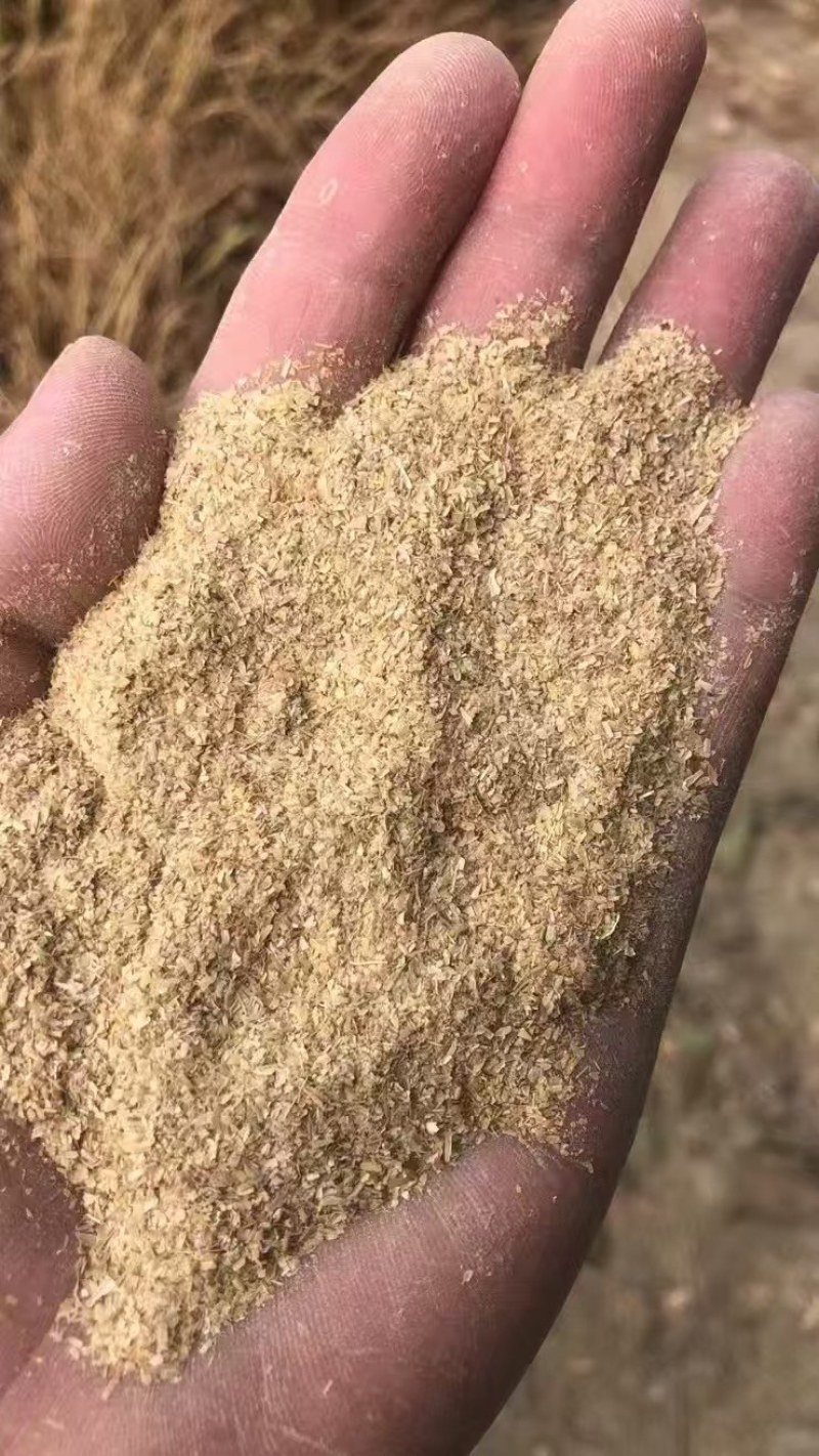 统糠除尘糠筛糠混合糠长期有货。