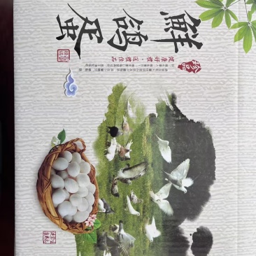 河南鸽子蛋