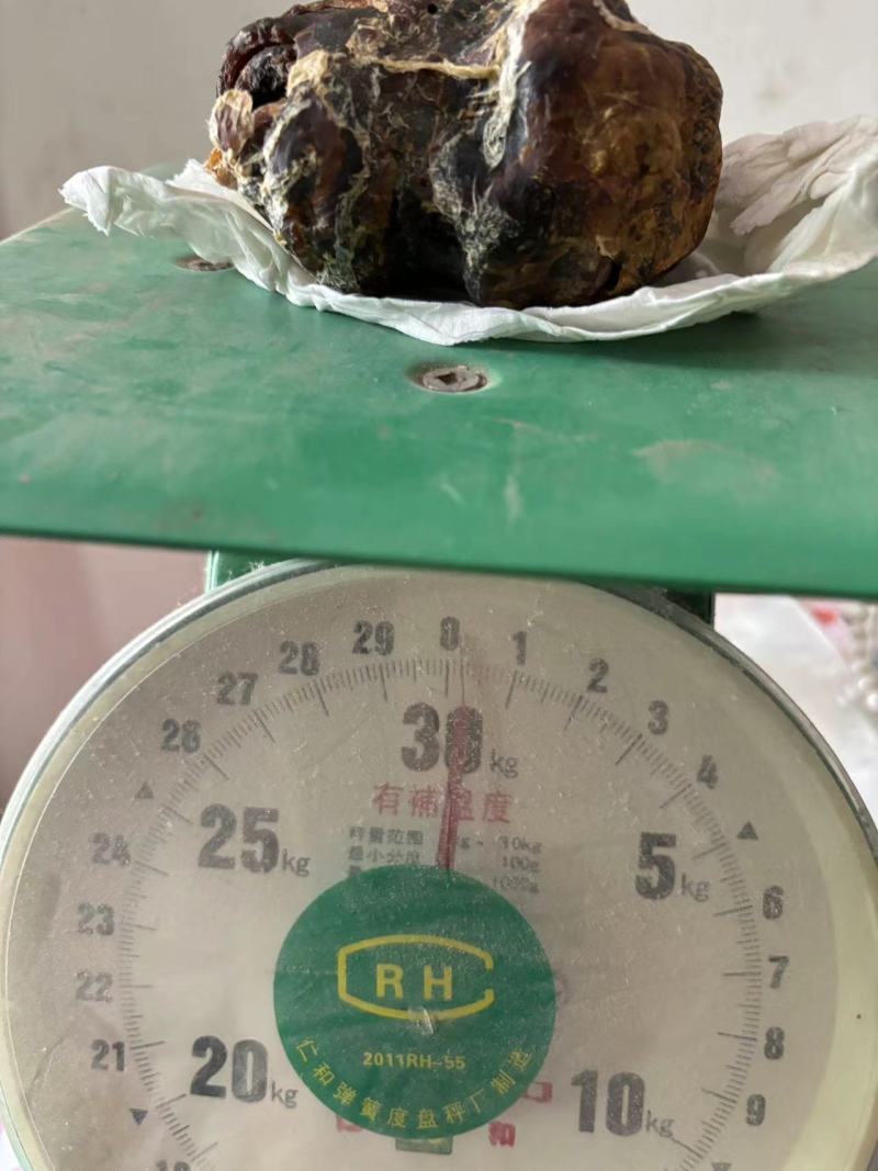 鸡宝药材