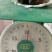 鸡宝药材