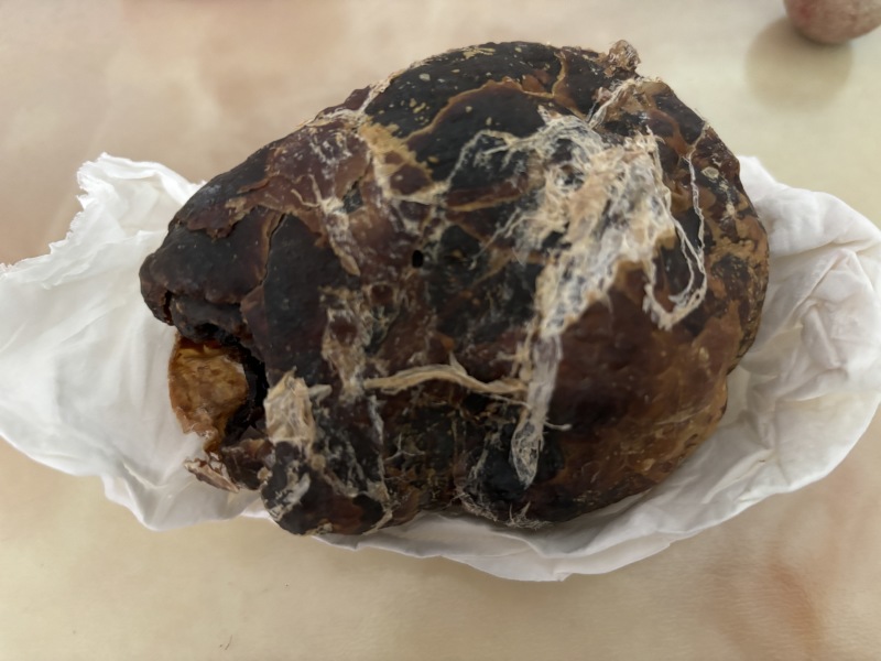 鸡宝药材